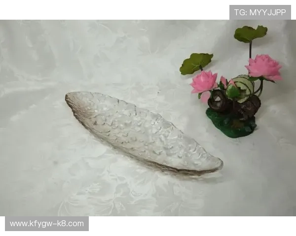 下载凯发集团登录网址的最佳途径及注意事项全面解析 下载凯发集团登录网址的最佳途径及注意事项全面解析