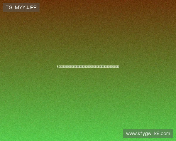 k8国际官网平台的安全性分析与用户隐私保护措施，确保每位玩家的资金与个人信息安全无忧