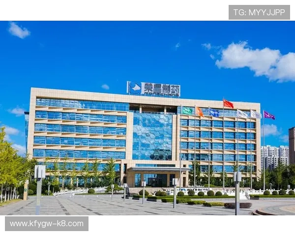 K8.com凯发滚球盘安全可靠的投注环境保障玩家资金与个人信息安全